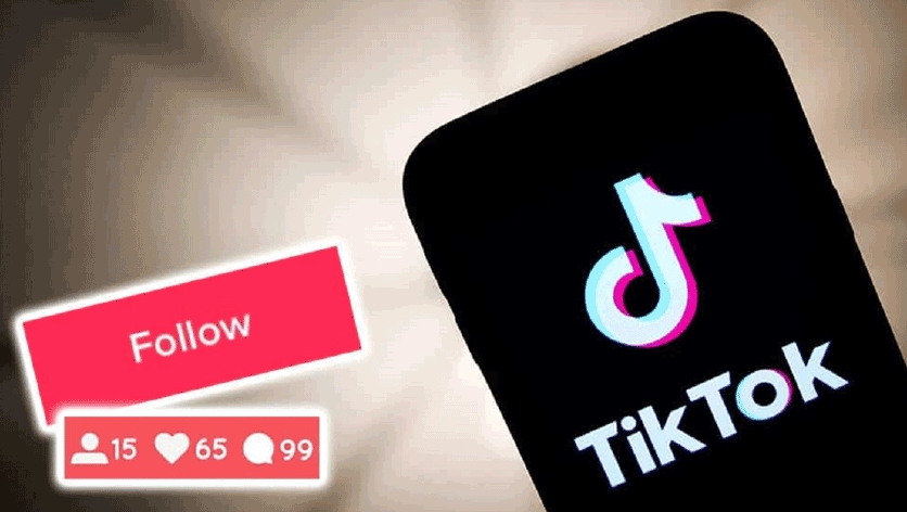 TikTok Takipçi Satın Al